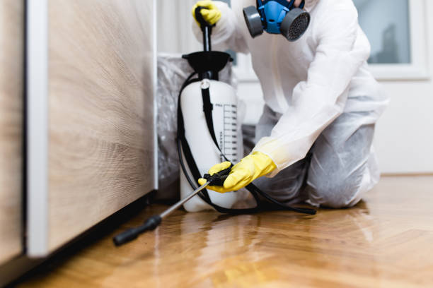 Best Ant Control Services  in Leoti, KS