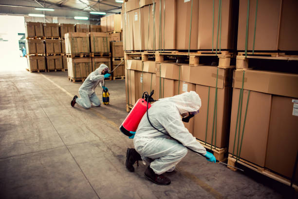 Reliable Leoti, KS Pest Control Solutions