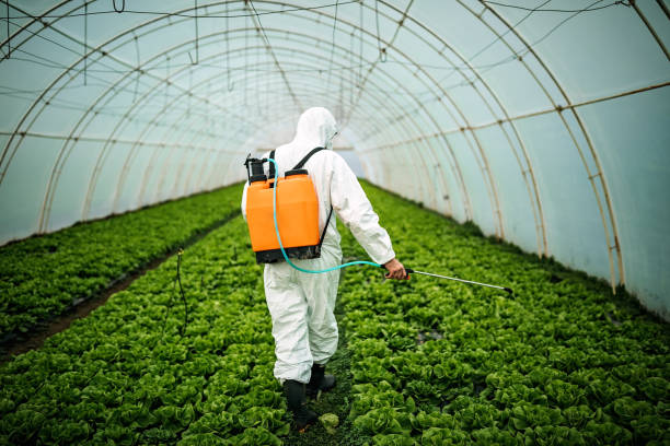 Best Pest Removal Services  in Leoti, KS