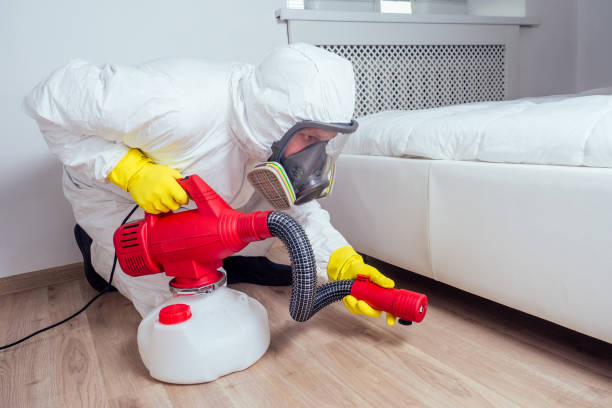 Best Flea Control Services  in Leoti, KS