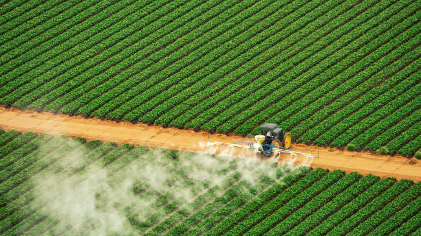 Insect Control in Leoti, KS
