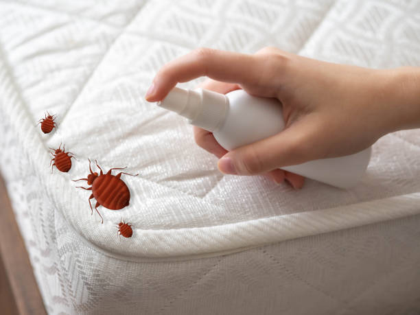 Best Insect Control  in Leoti, KS